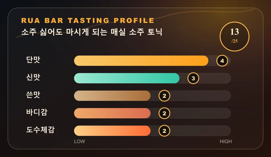 소주 싫어도 마시게 되는 매실 소주 토닉
